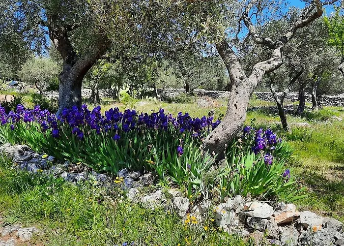 Trulli Vayu Дом отдыха