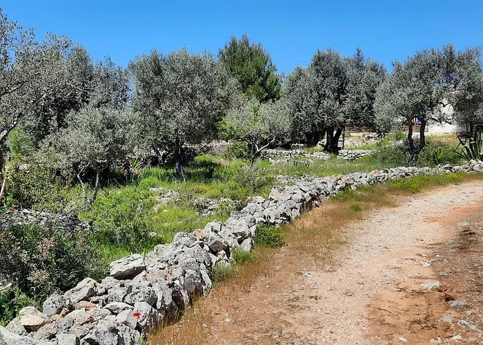 Trulli Vayu *