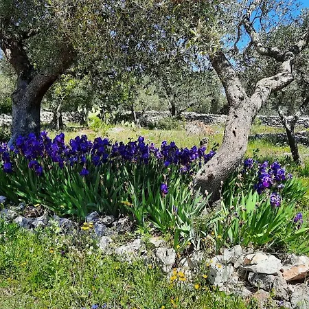 Trulli Vayu Сasa de vacaciones