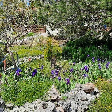 Trulli Vayu