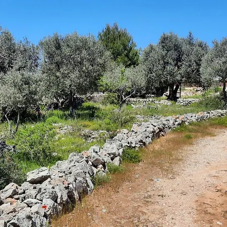 Trulli Vayu *