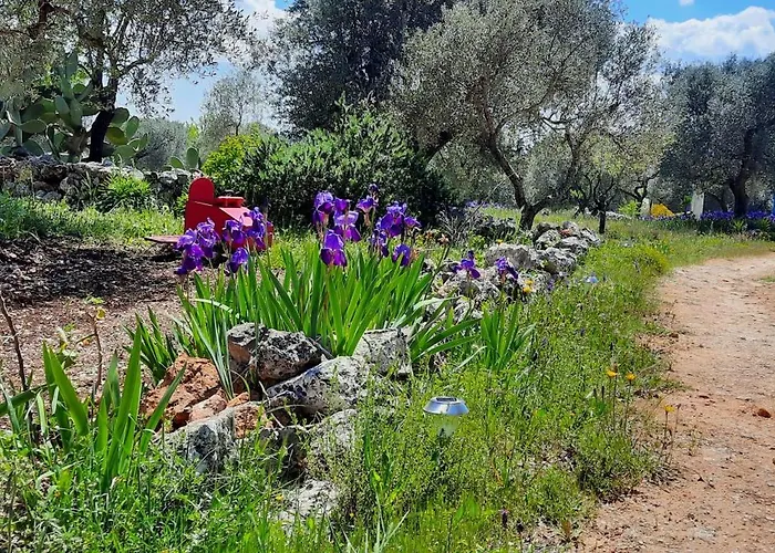 Trulli Vayu *